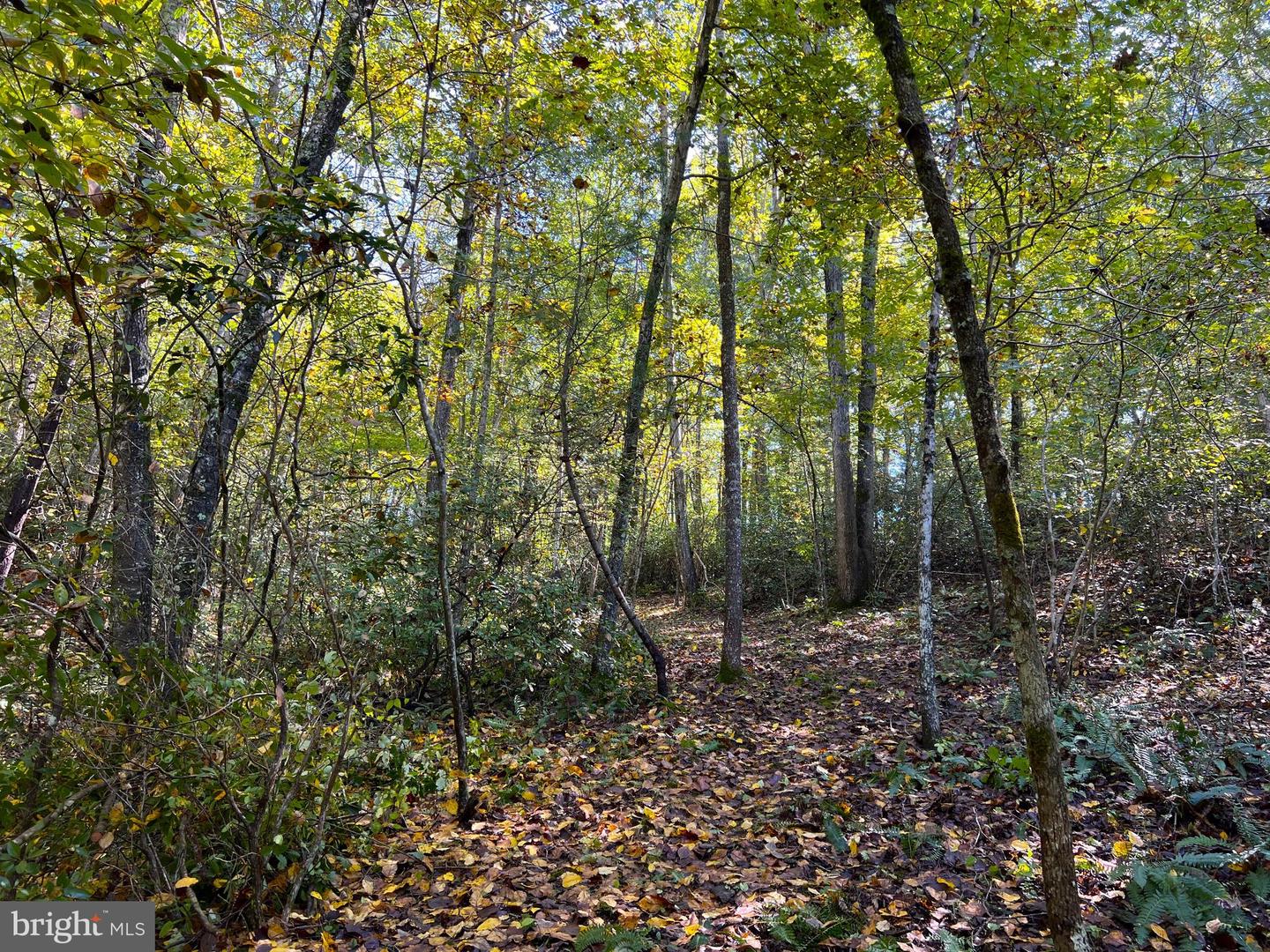 243 Aaron Mountain Rd Property Photo 48