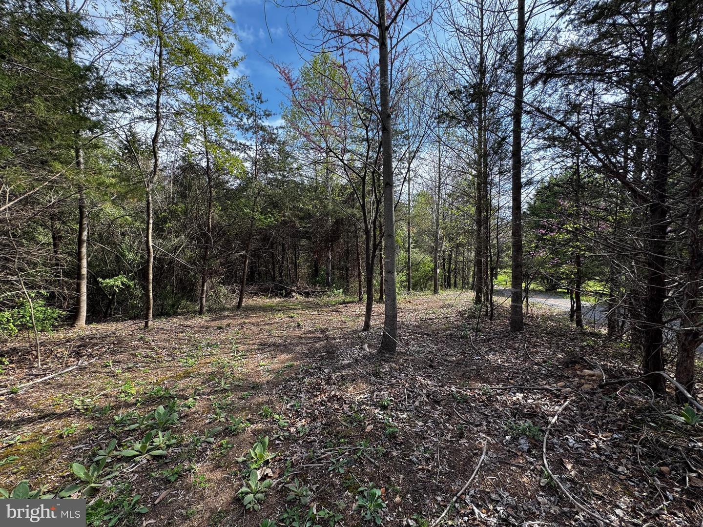 0 Castleton Ford Property Photo 1