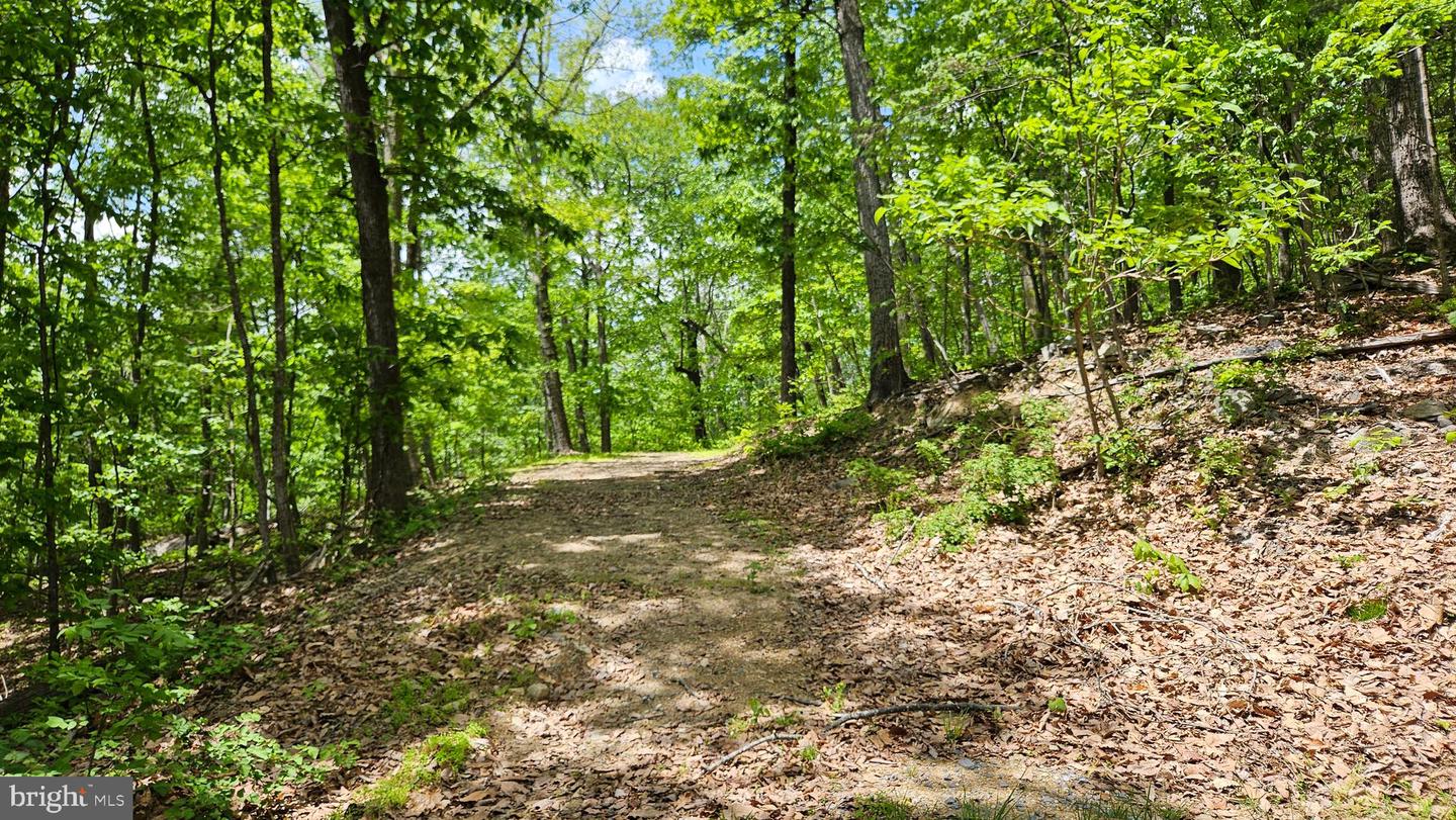 559 Bessie Bell Mountain Rd Property Photo 74