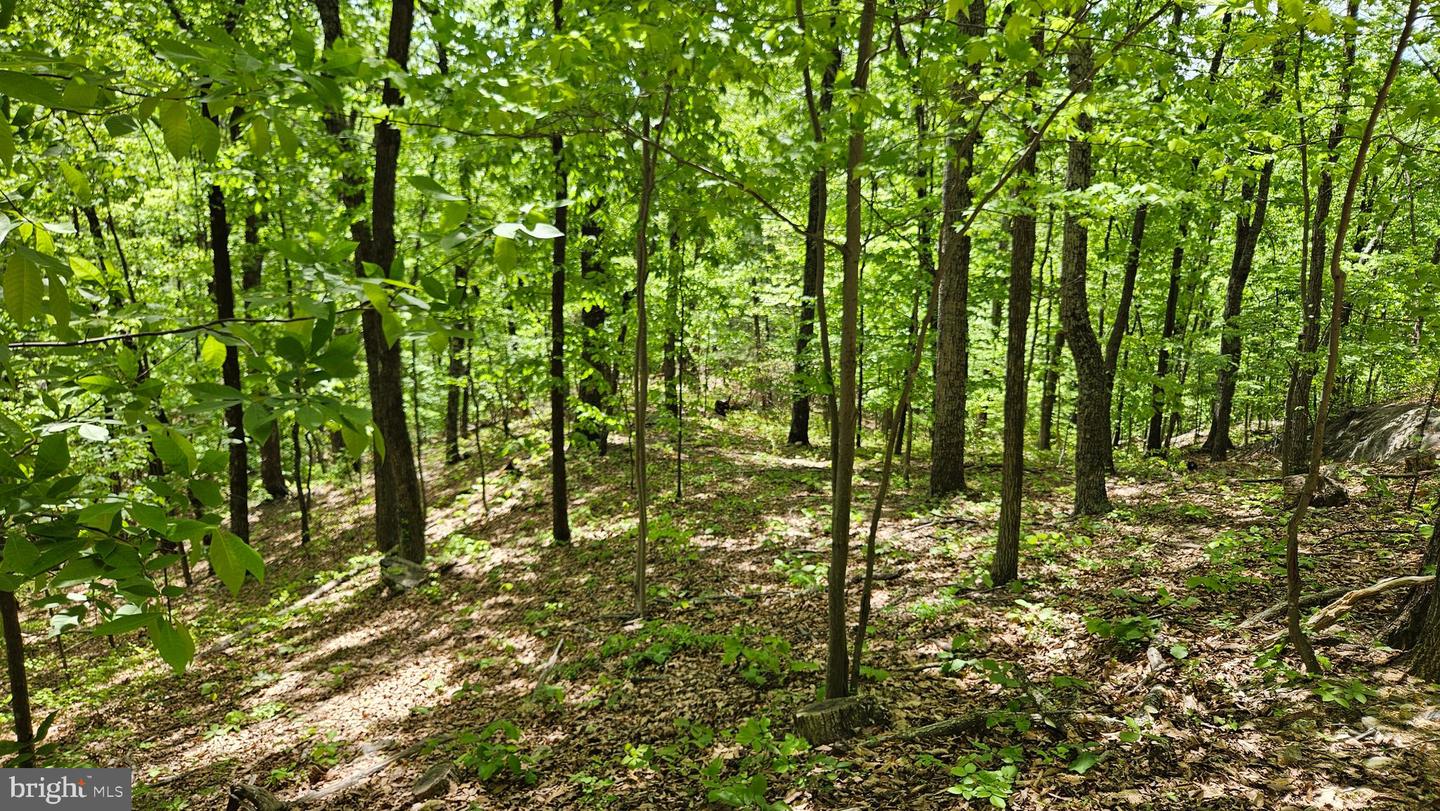 559 Bessie Bell Mountain Rd Property Photo 75