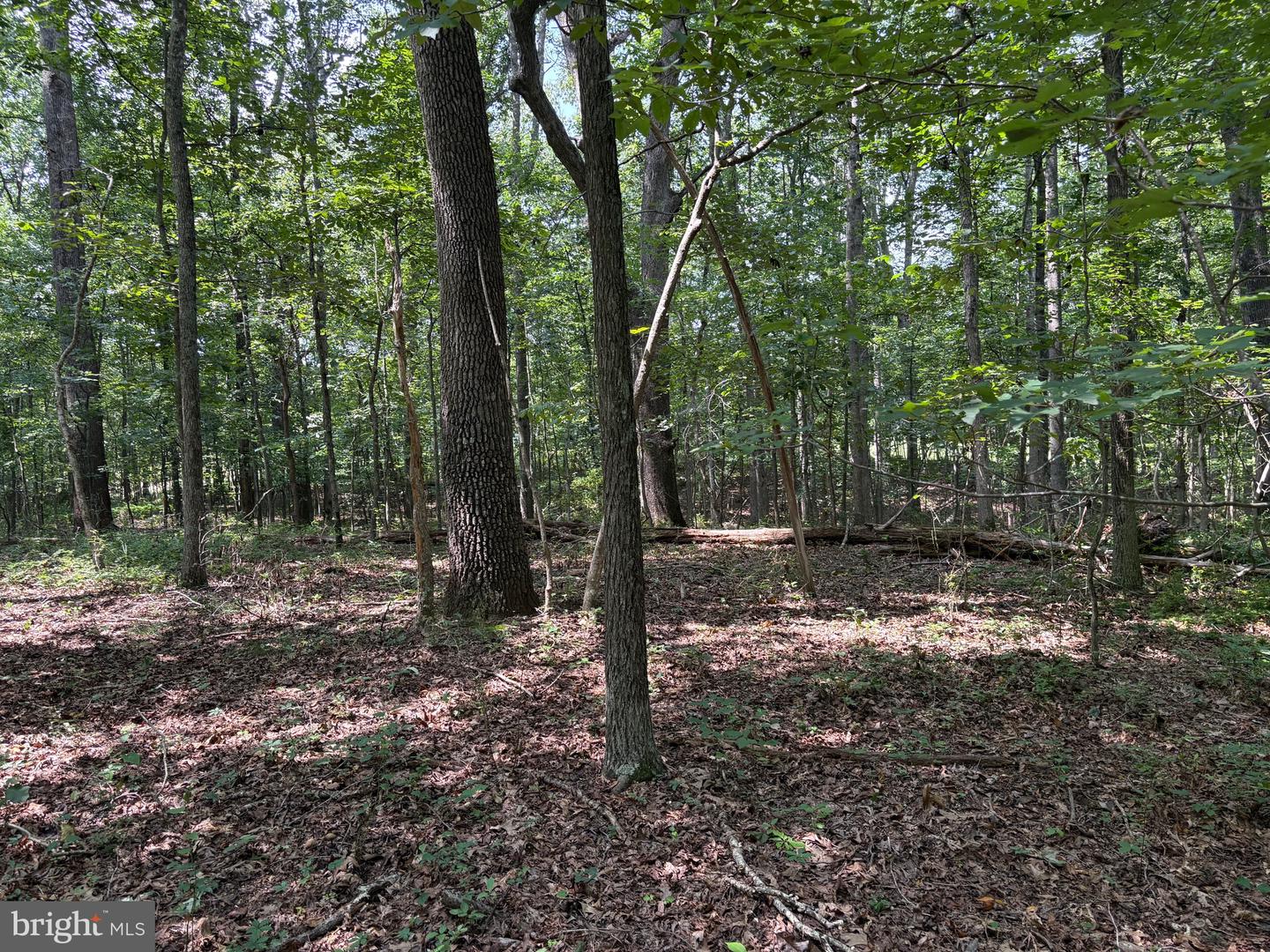 0 Weaver Road Property Photo 2