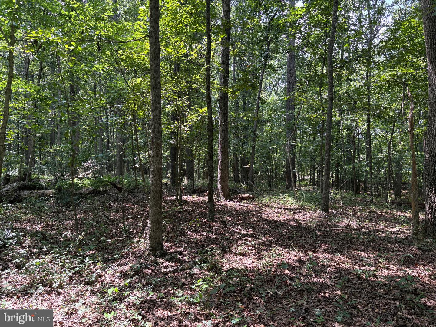 0 Weaver Road Property Photo 3