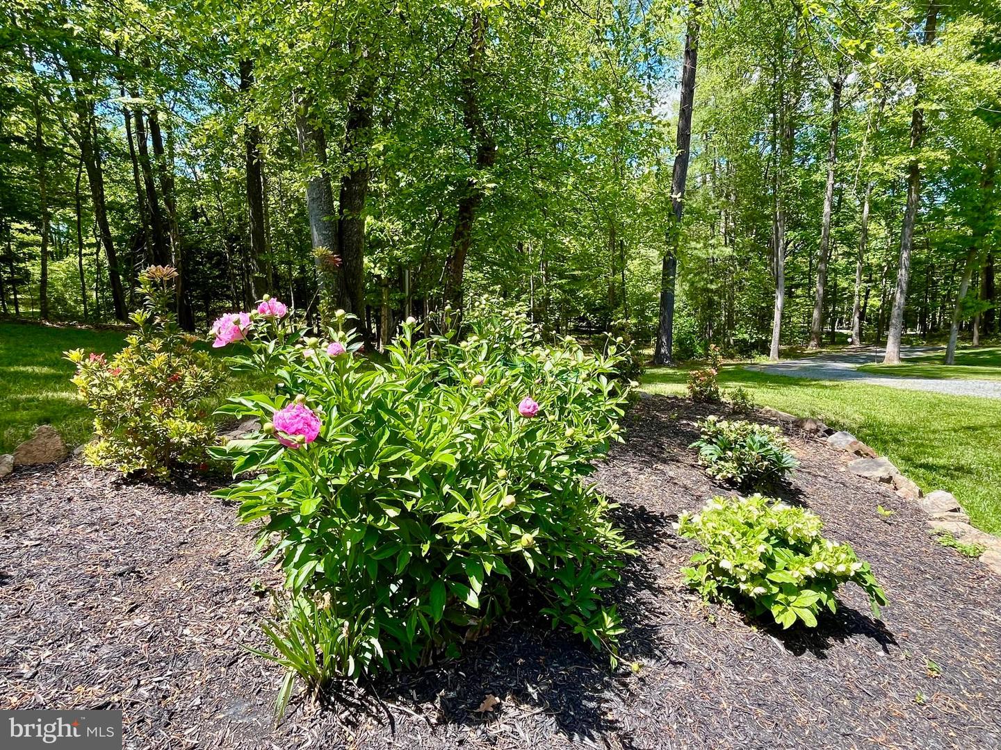 700 Battle Mountain Rd Property Photo 69