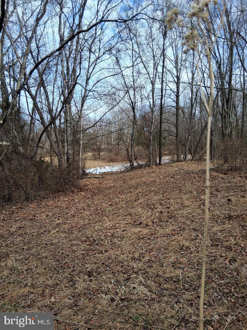 369-a Rock Mills Rd #a Property Photo 3