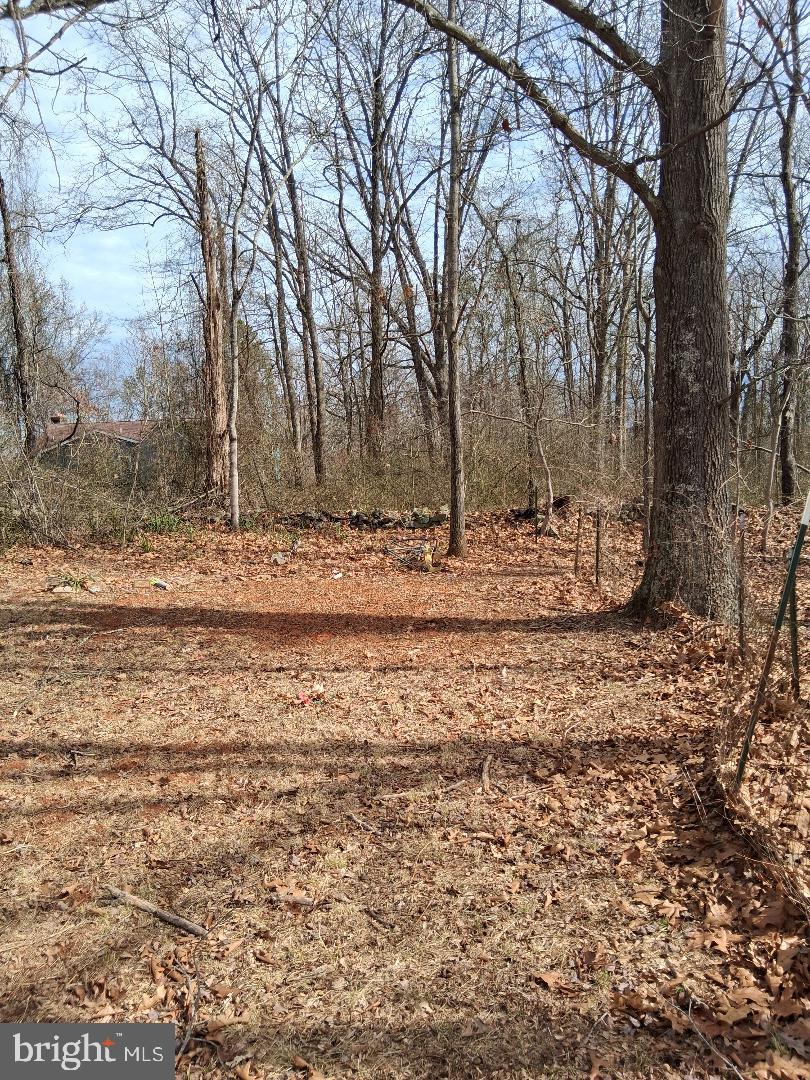 369-a Rock Mills Rd #a Property Photo 5
