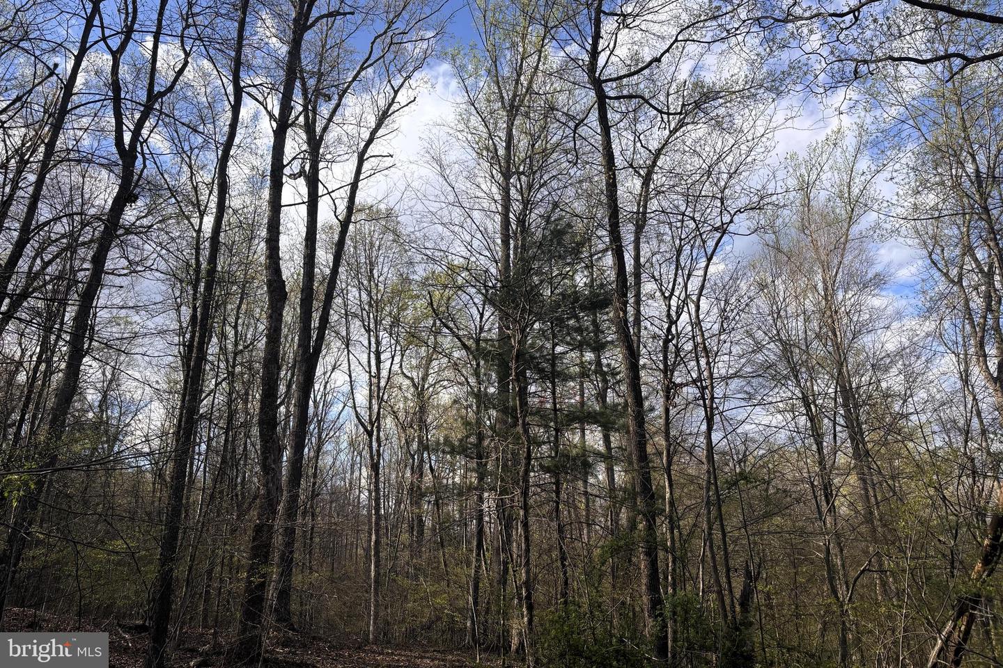 Padua Property Photo 2