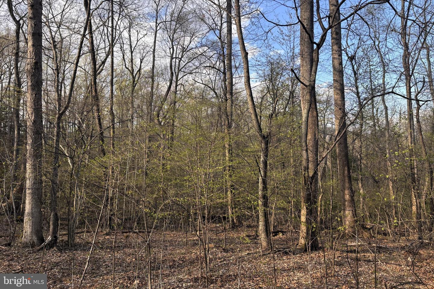 Padua Property Photo 4