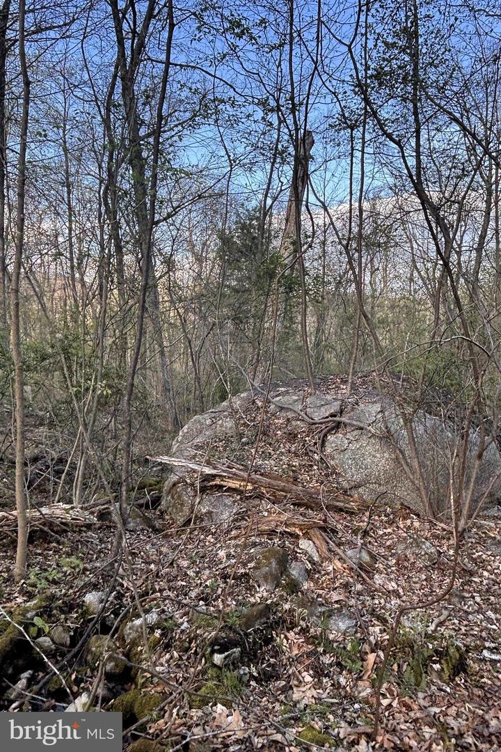 Padua Property Photo 5