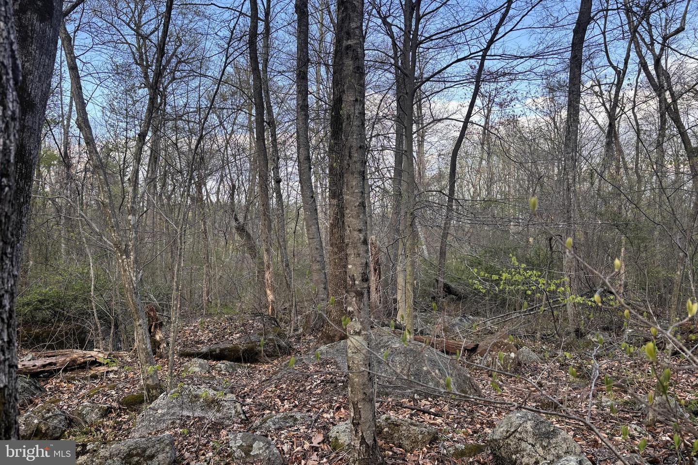 Padua Property Photo 7