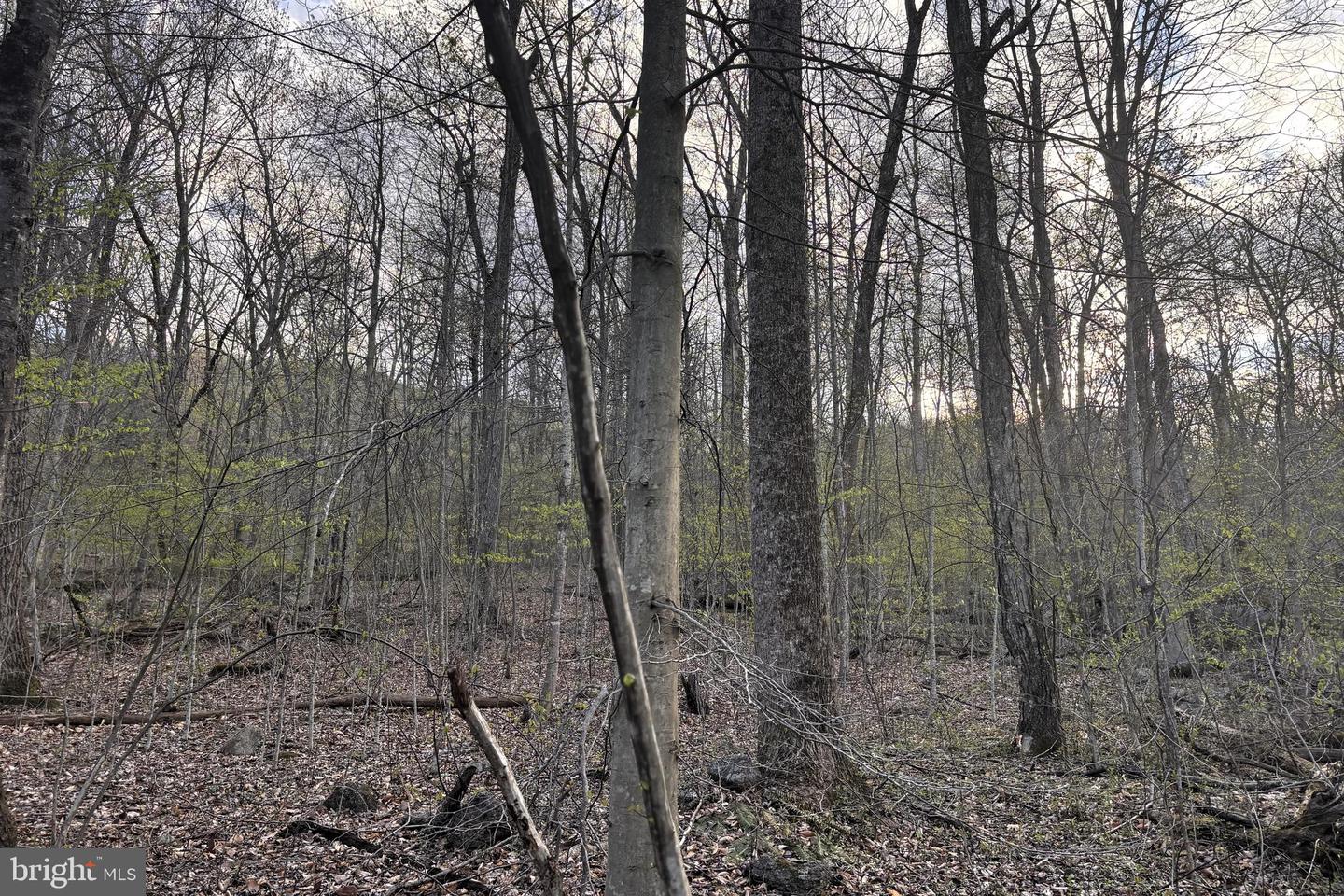 Padua Property Photo 8