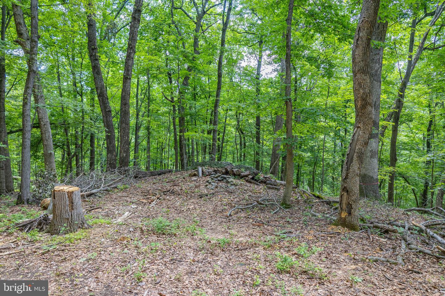 Tbd Comptons Rd Property Photo 12