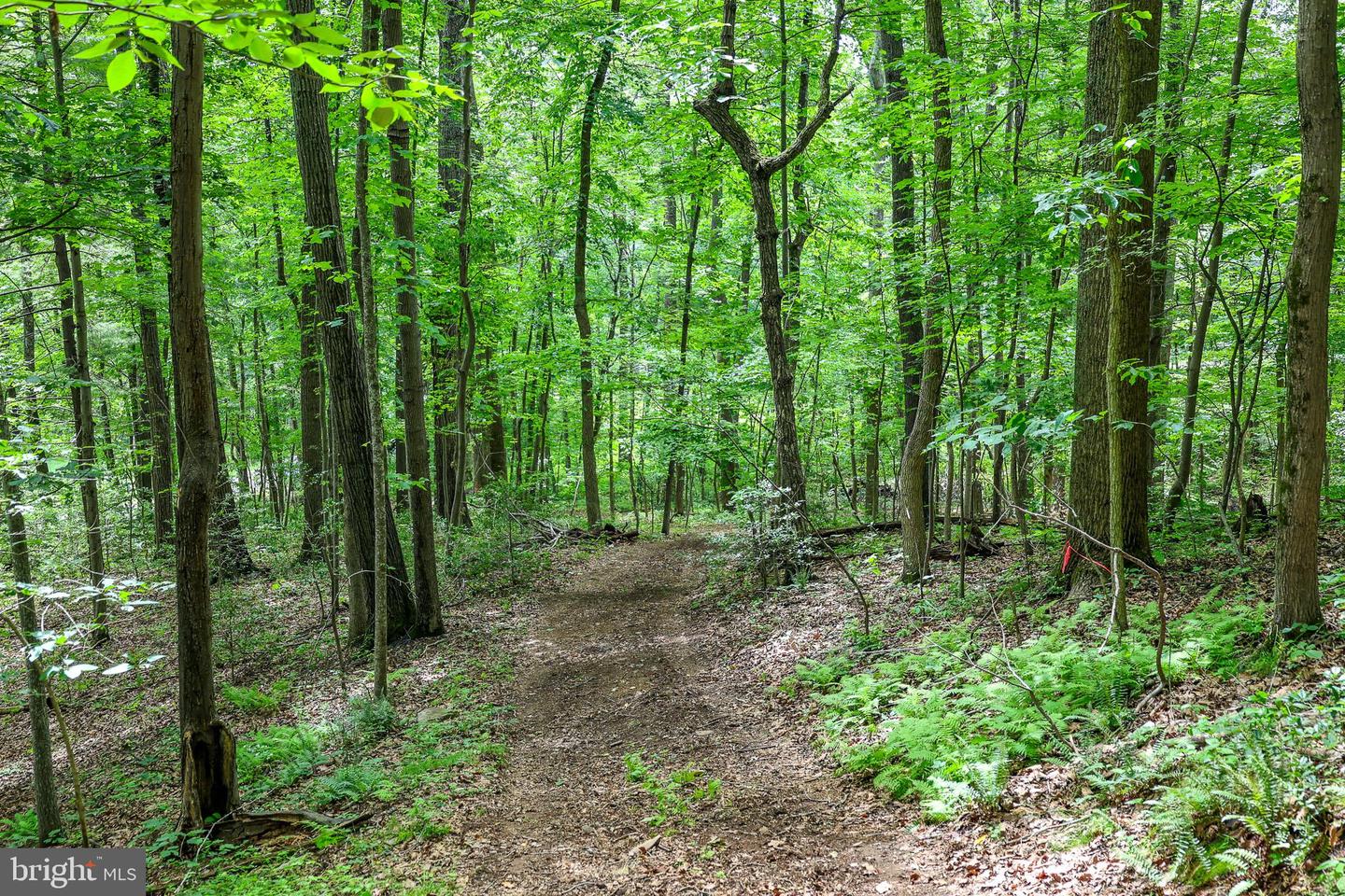 Tbd Comptons Rd Property Photo 14