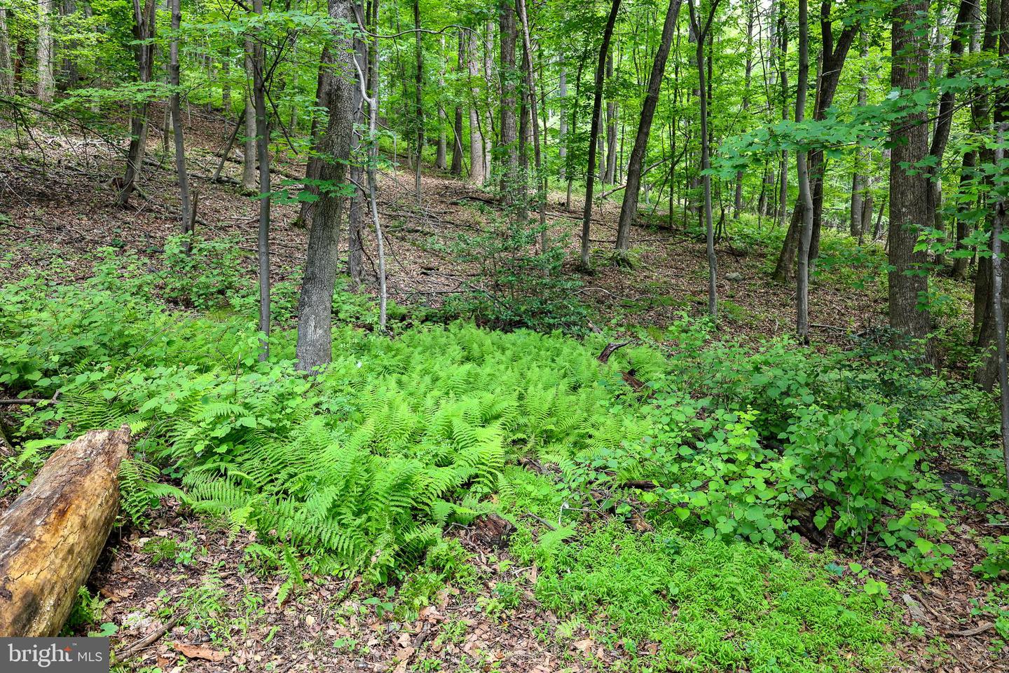 Tbd Comptons Rd Property Photo 16
