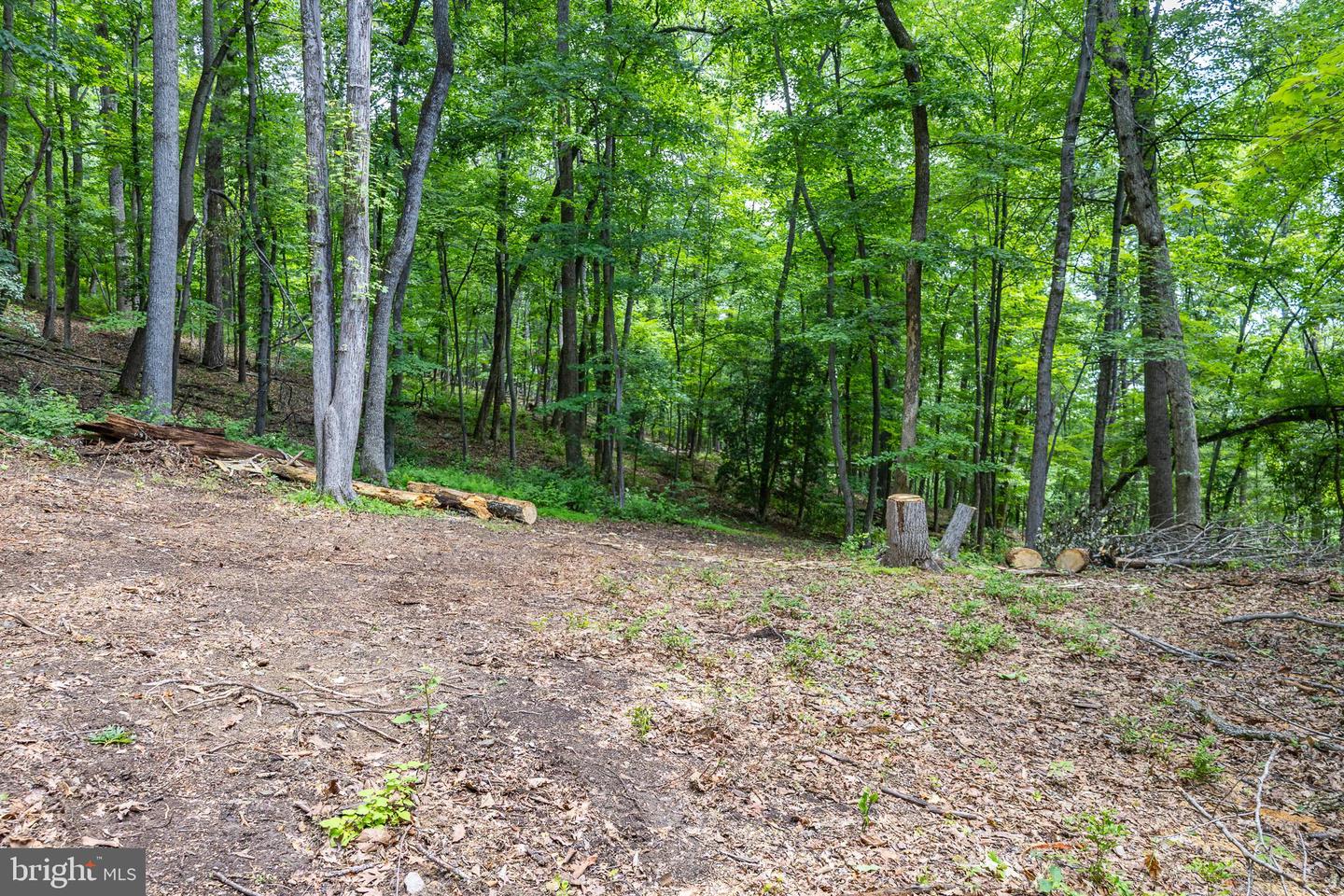 Tbd Comptons Rd Property Photo 17
