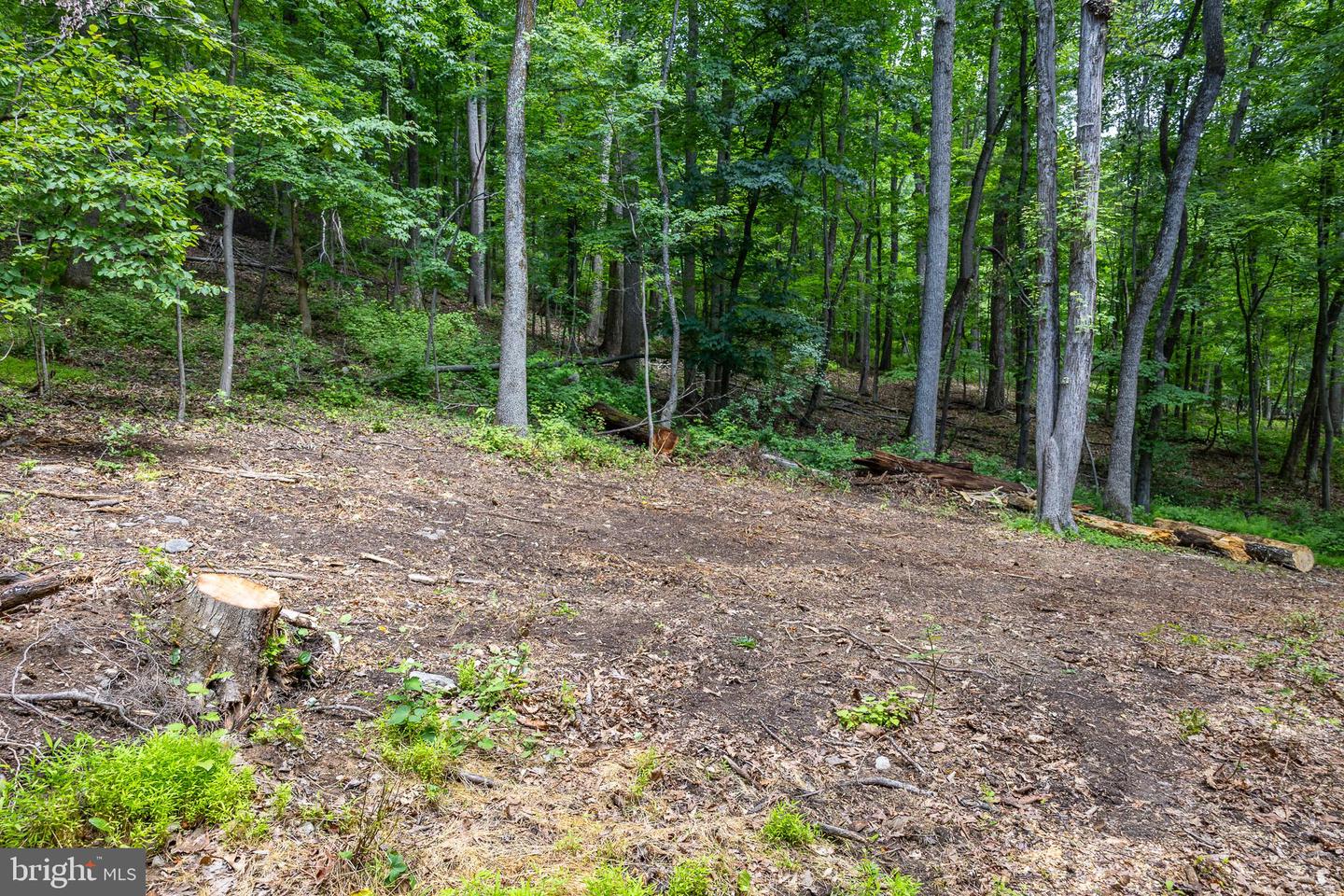 Tbd Comptons Rd Property Photo 18