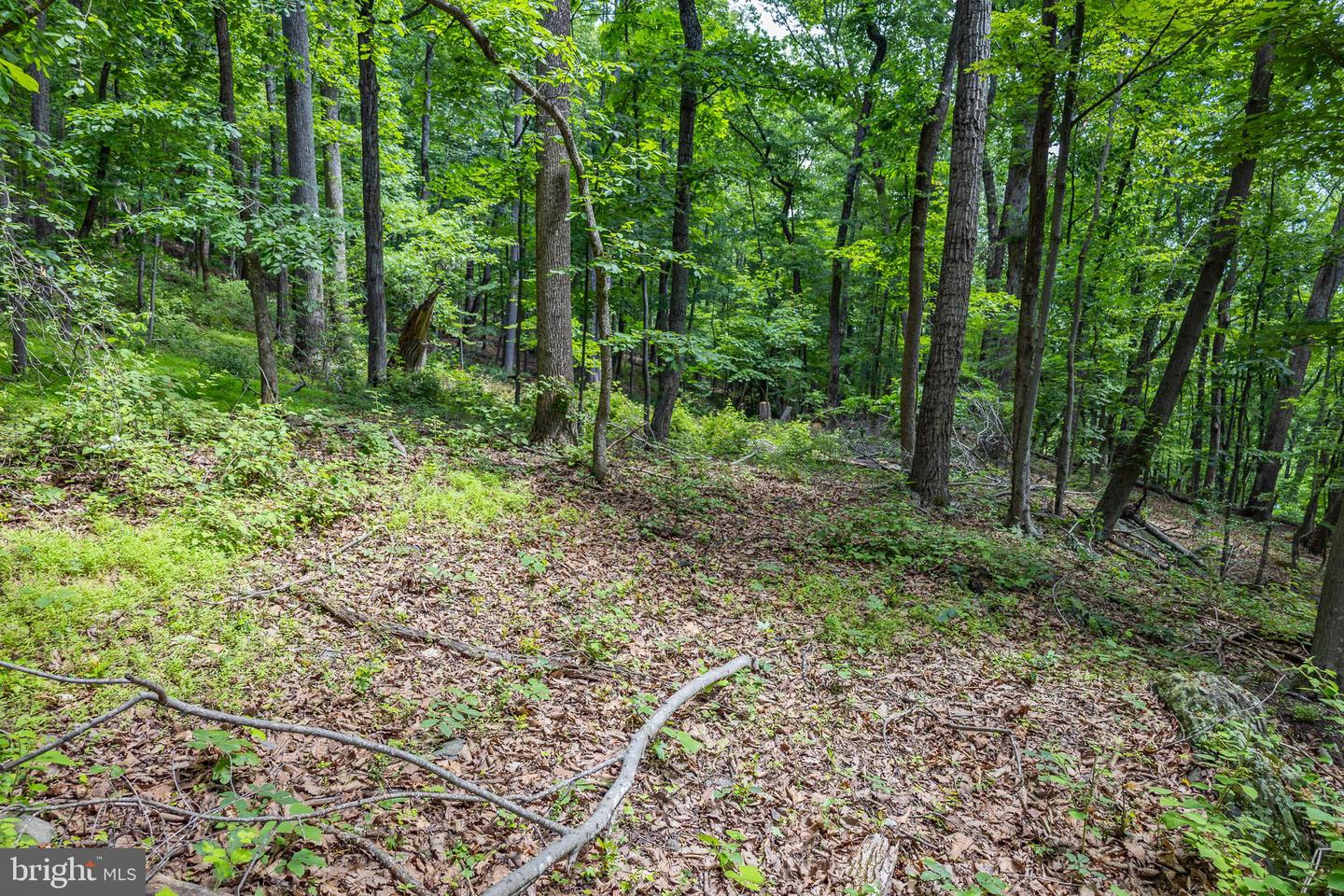 Tbd Comptons Rd Property Photo 19