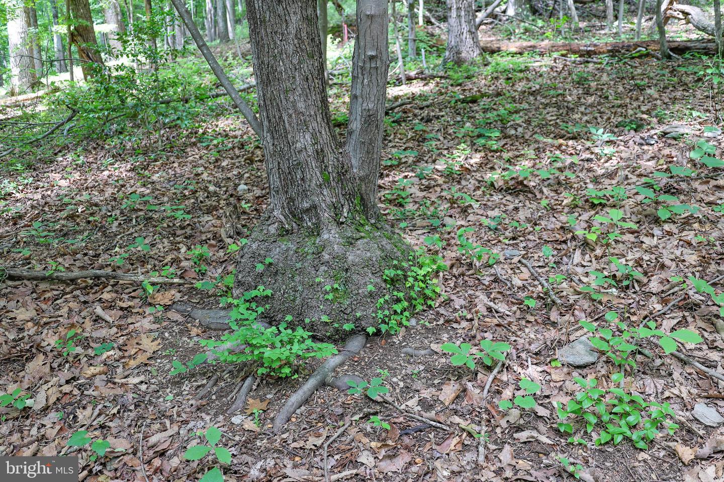 Tbd Comptons Rd Property Photo 21