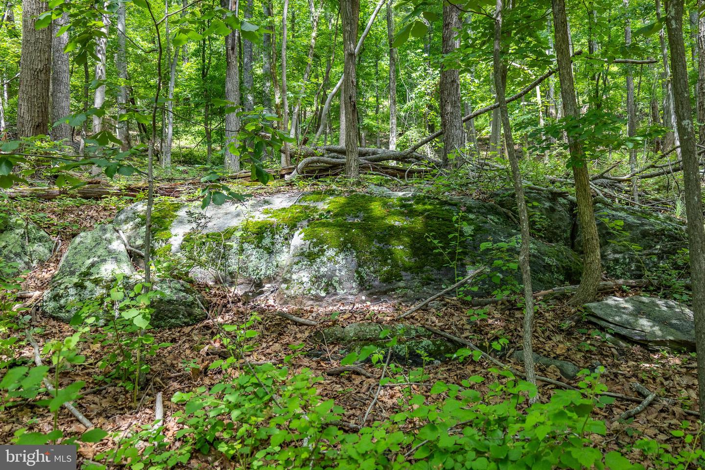 Tbd Comptons Rd Property Photo 23