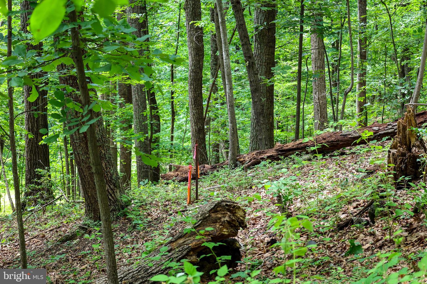 Tbd Comptons Rd Property Photo 24