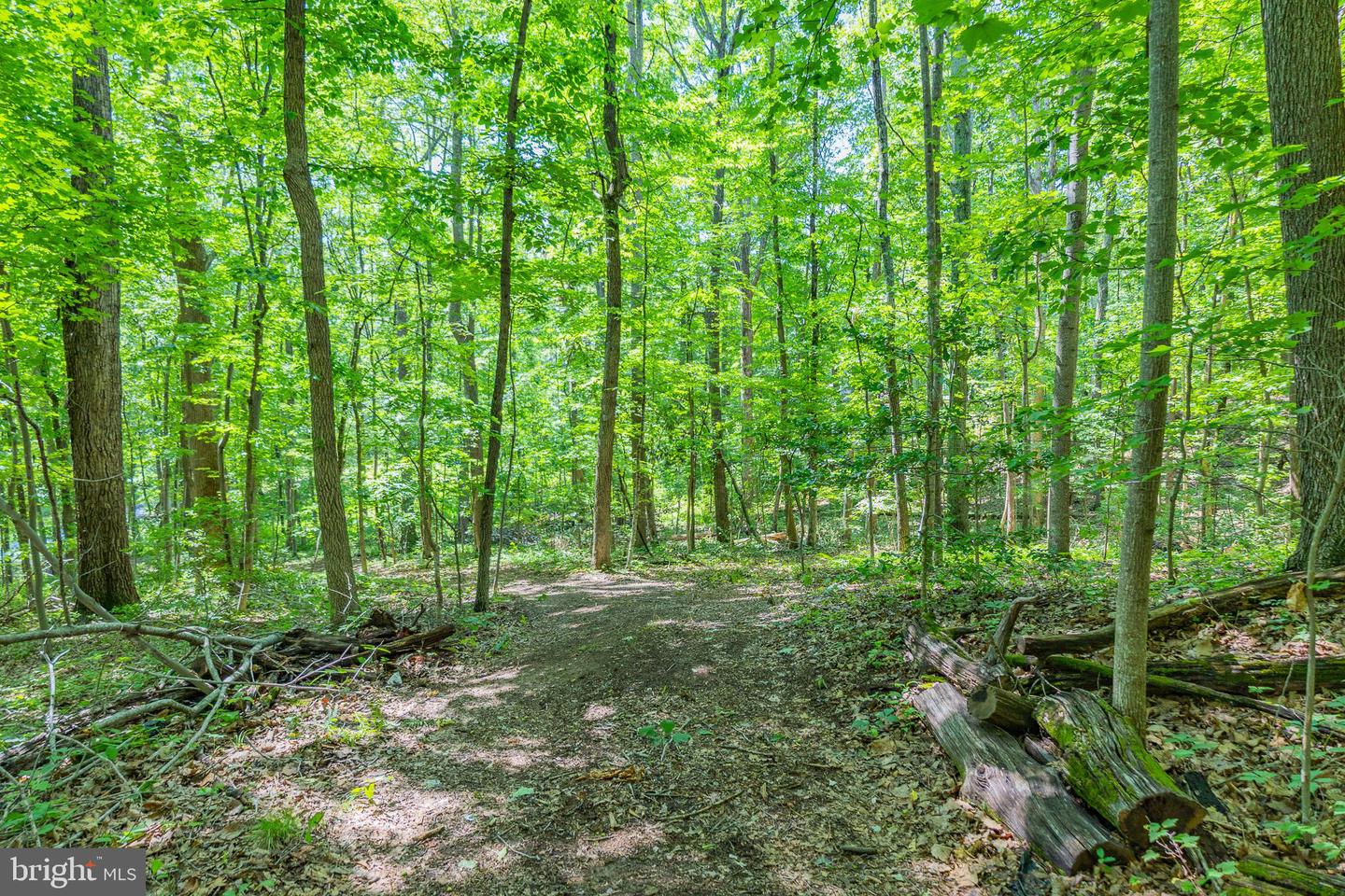 Tbd Comptons Rd Property Photo 29