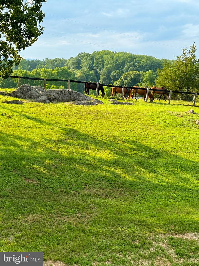 505 Viewtown Property Photo 63