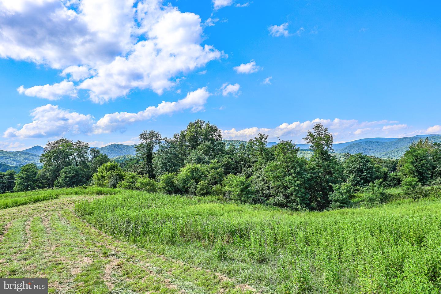 Tbd 0 Lee Hwy 66.8ac Taxid38-91 Property Photo 26