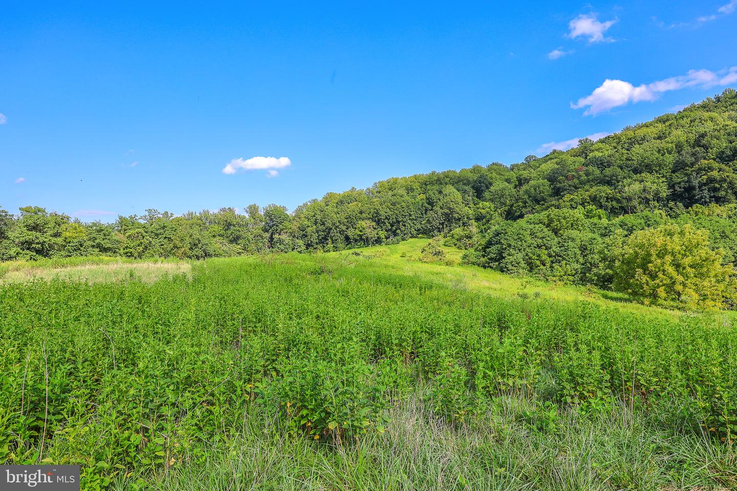 Tbd 0 Lee Hwy 66.8ac Taxid38-91 Property Photo 28