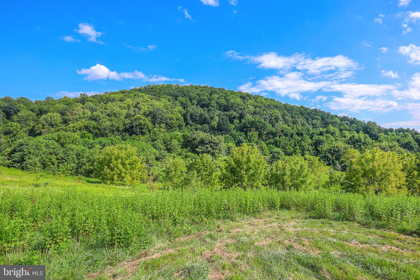 Tbd 0 Lee Hwy 66.8ac Taxid38-91 Property Photo 29