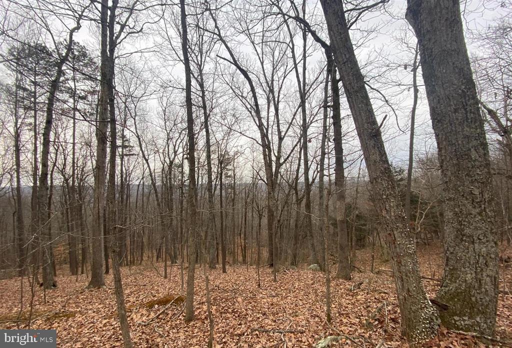 0 Turkey Ridge Road Property Photo 1