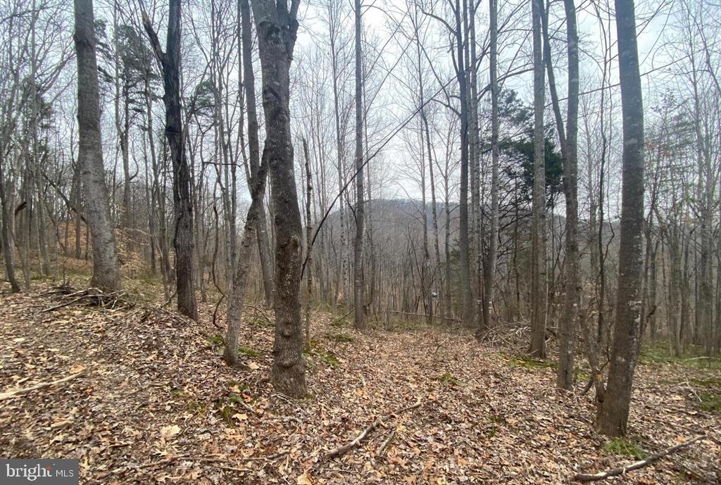 0 Turkey Ridge Road Property Photo 2