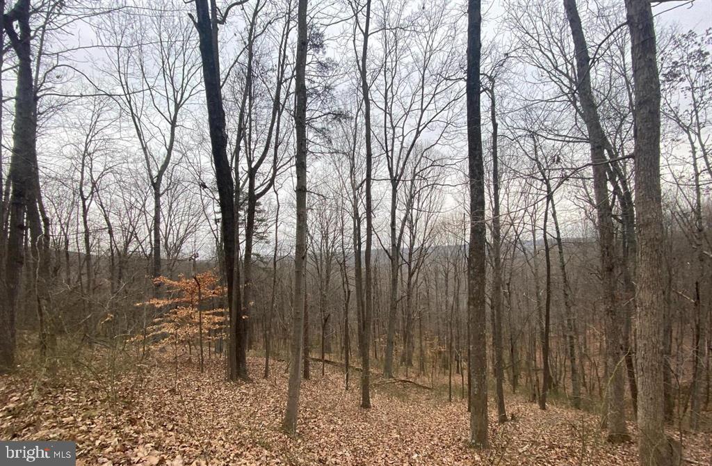 0 Turkey Ridge Road Property Photo 3