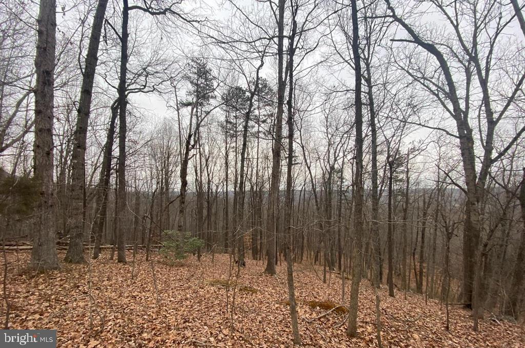 0 Turkey Ridge Road Property Photo 4