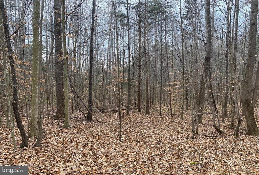 0 Turkey Ridge Road Property Photo 6