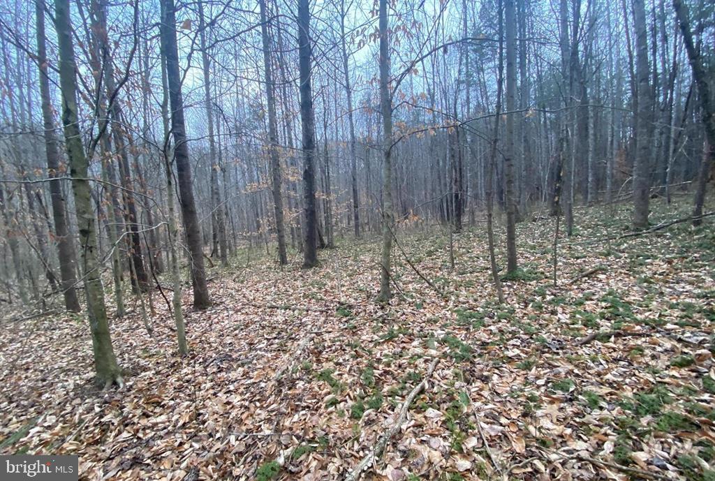 0 Turkey Ridge Road Property Photo 8
