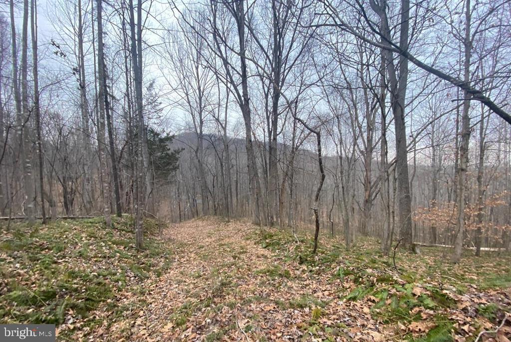 0 Turkey Ridge Road Property Photo 10