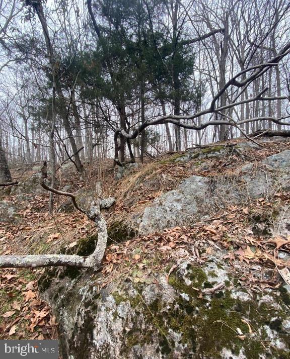 0 Turkey Ridge Road Property Photo 11