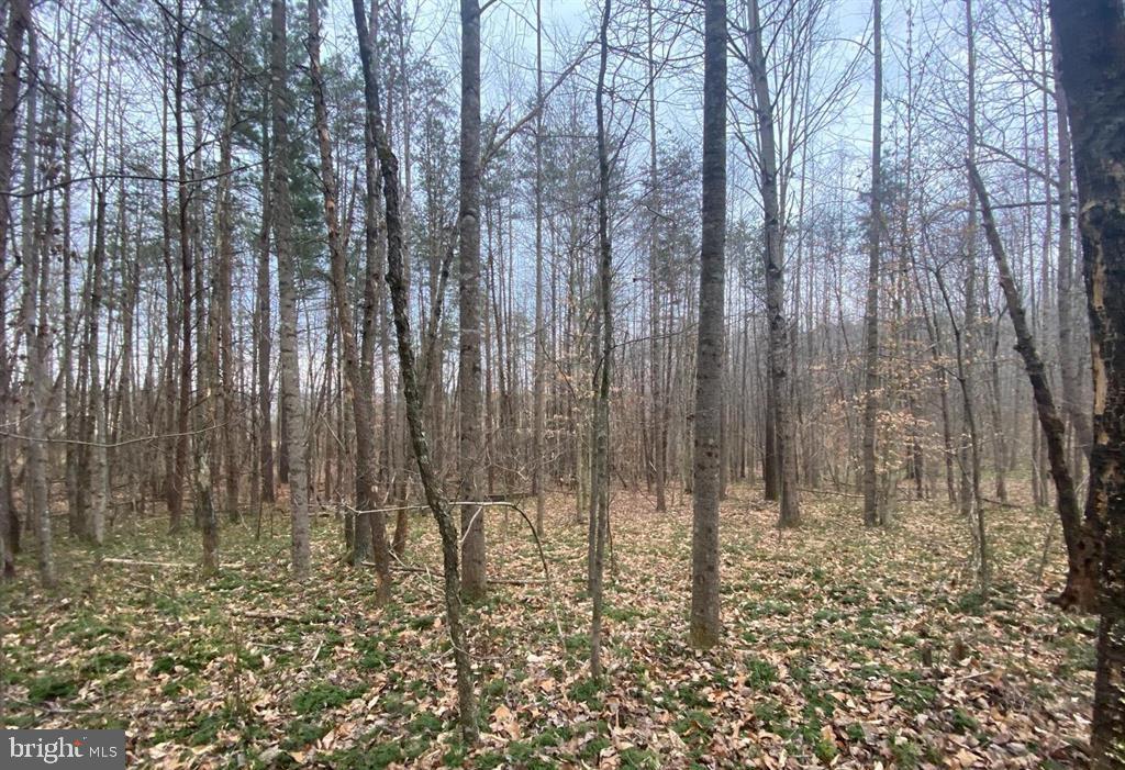 0 Turkey Ridge Road Property Photo 12