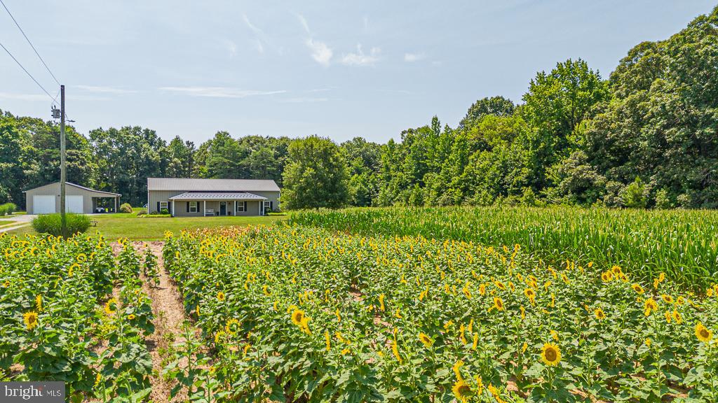 Rappahannock Real Estate Listings Main Image