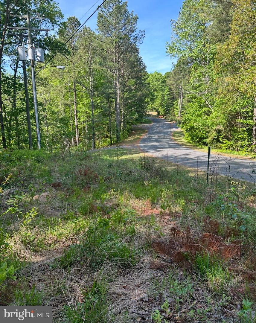 Lot 3 Wallace Street Property Photo 5
