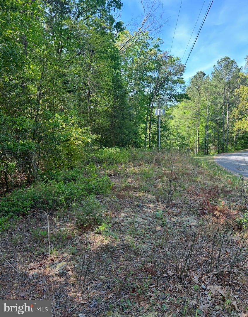 Lot 3 Wallace Street Property Photo 6