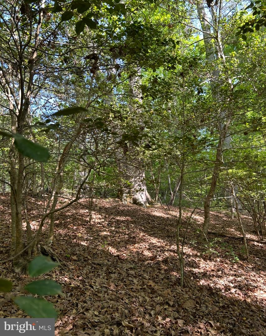 Lot 2 Wallace Street Property Photo 9