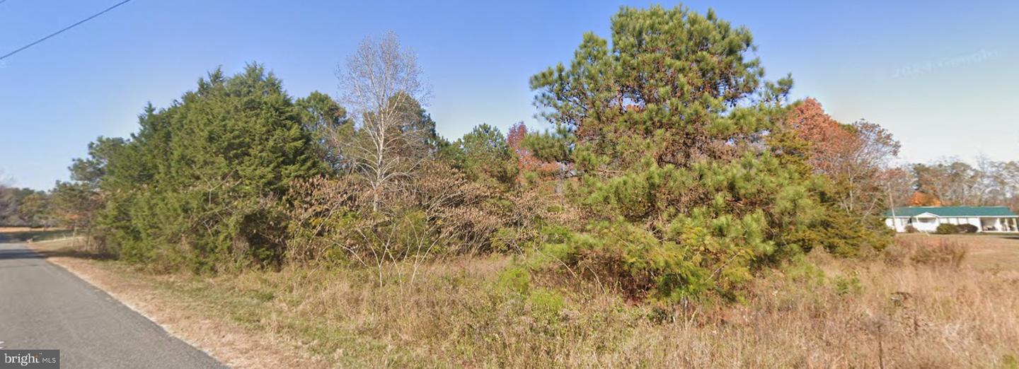 31-15 Lot 2 The Hook Rd Property Photo 1