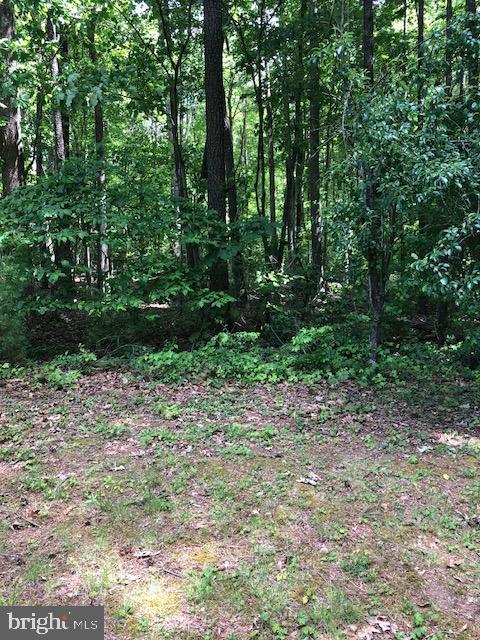 Turkey Trot Property Photo 1