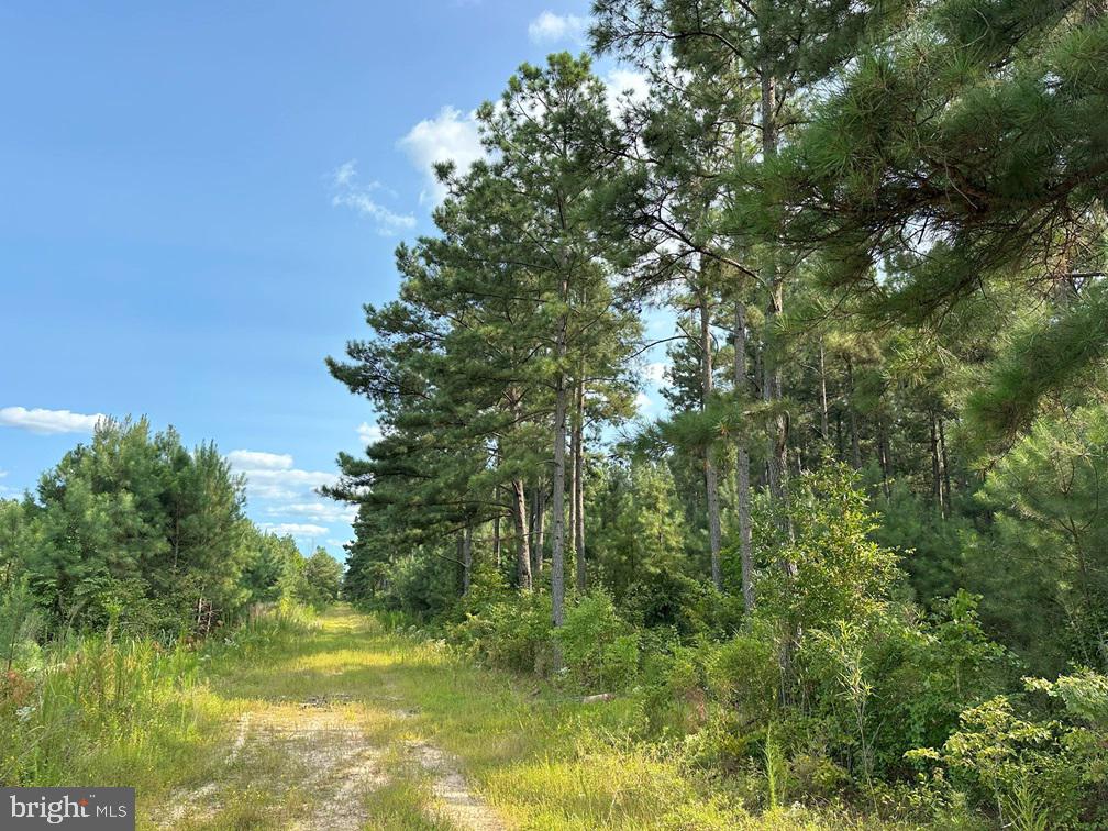 Old Myrtle Road (rt. 608) Property Photo 1