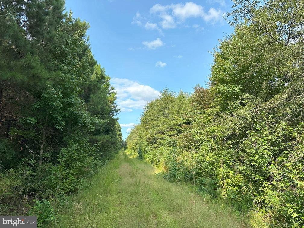 Old Myrtle Road (rt. 608) Property Photo 13