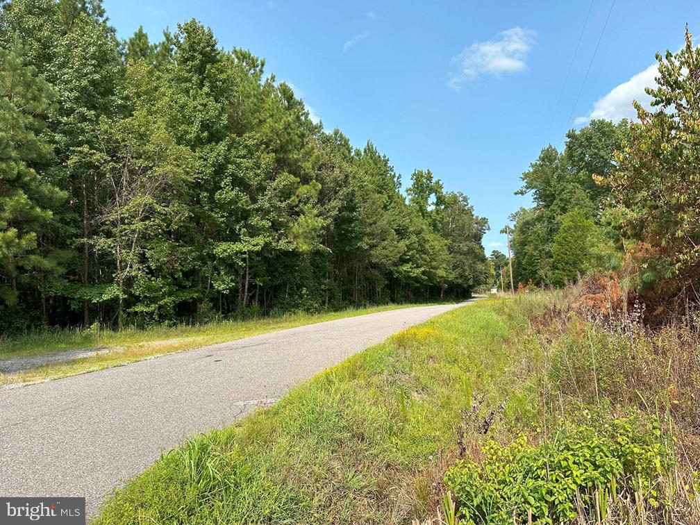 Old Myrtle Road (rt. 608) Property Photo 15