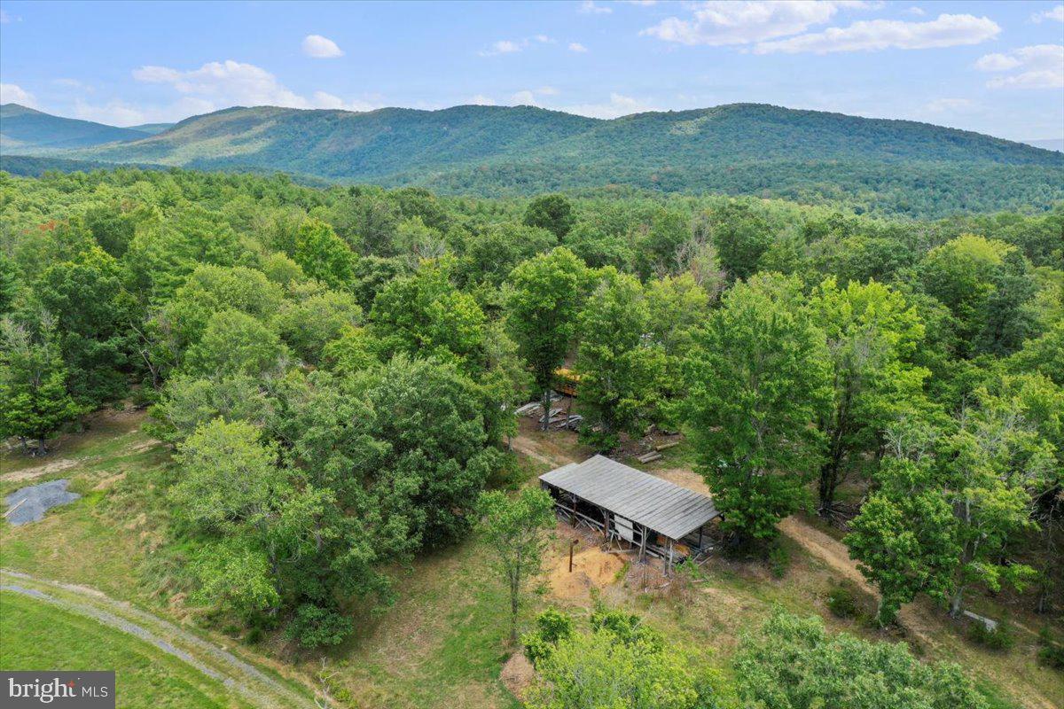11252 Supinlick Ridge Property Photo 5