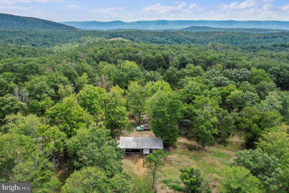 11252 Supinlick Ridge Property Photo 6