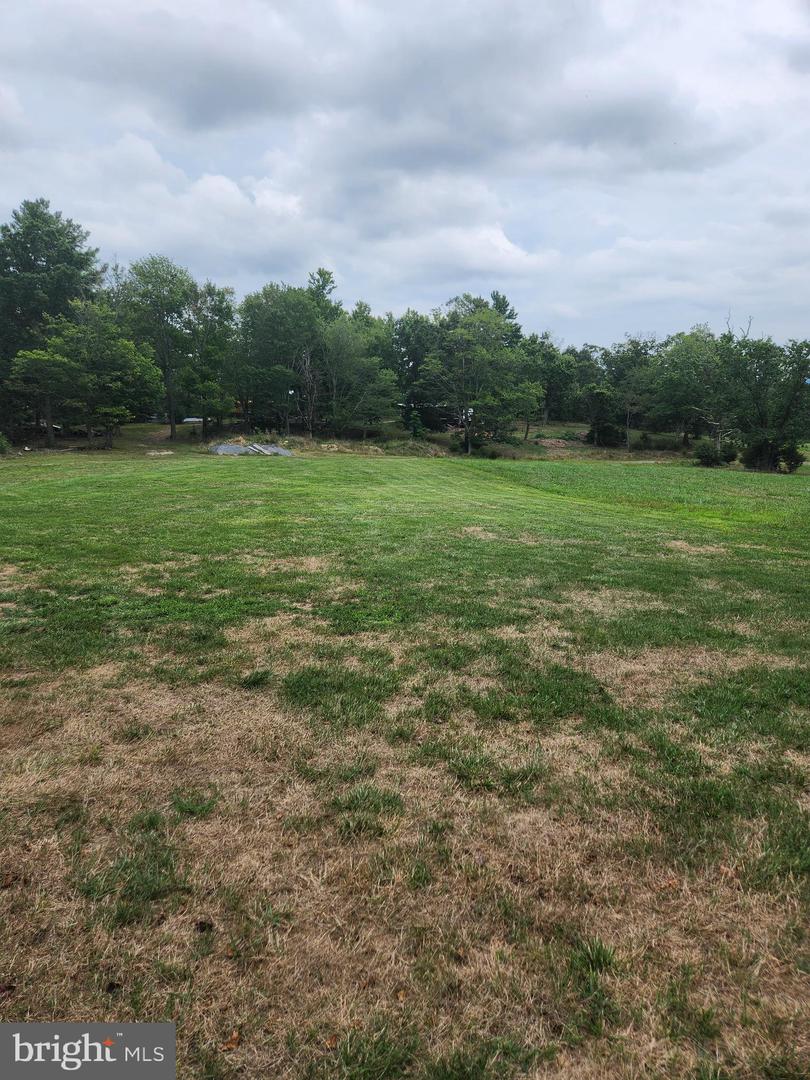 11252 Supinlick Ridge Property Photo 8