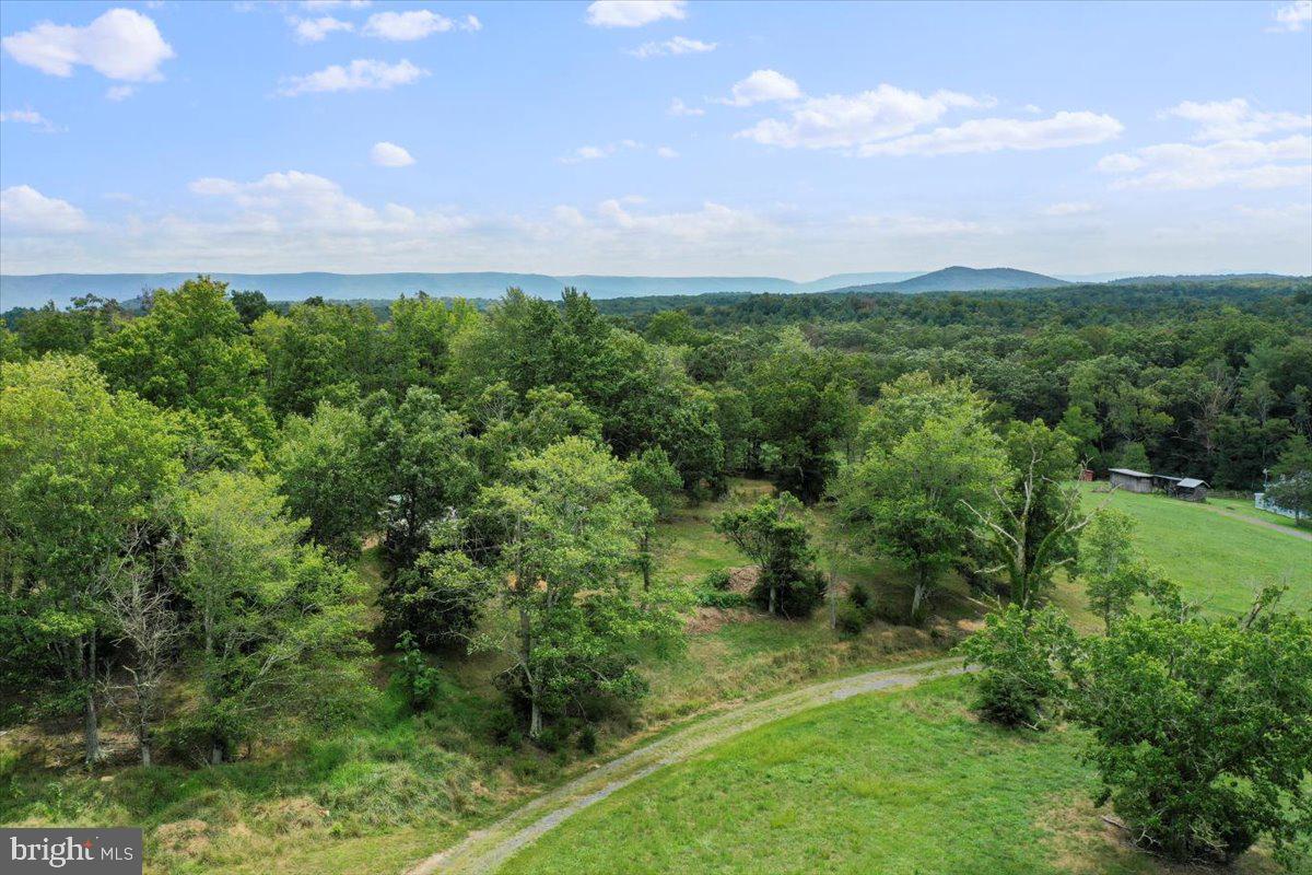 11252 Supinlick Ridge Property Photo 11